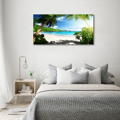Fotobild Strand der Seychellen