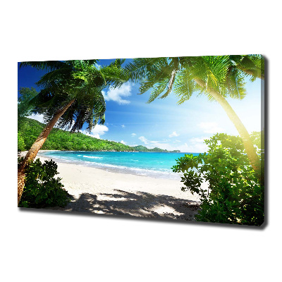 Fotobild Strand der Seychellen