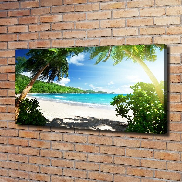 Fotobild Strand der Seychellen