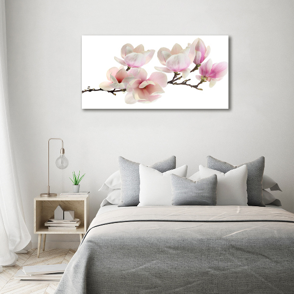 Bild auf leinwand Magnolie