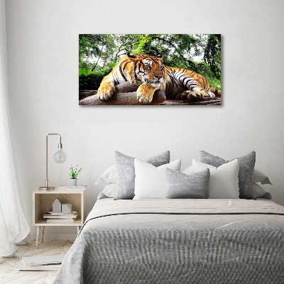 Bild auf leinwand Tiger auf einem Felsen