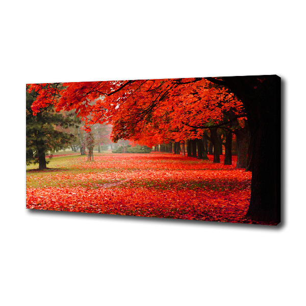 Wandbild Bäume im Herbst