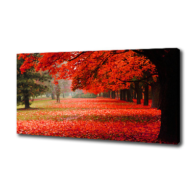 Wandbild Bäume im Herbst