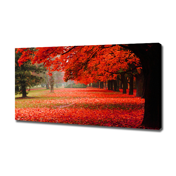 Wandbild Bäume im Herbst
