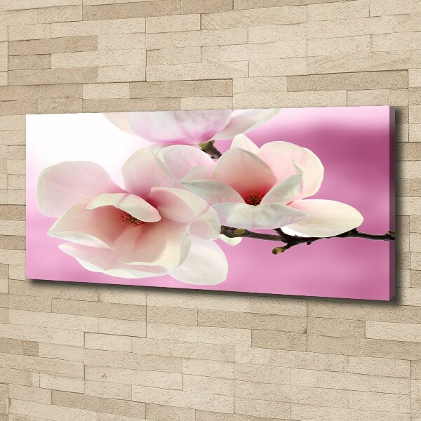 Fotobild Magnolie