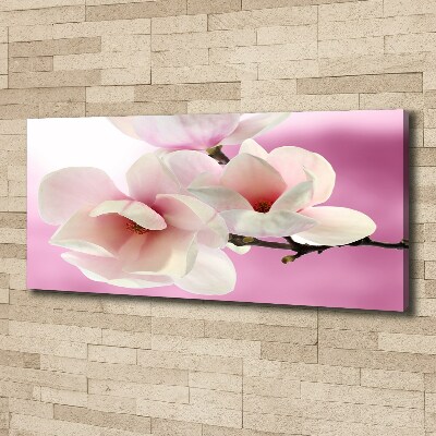 Fotobild Magnolie