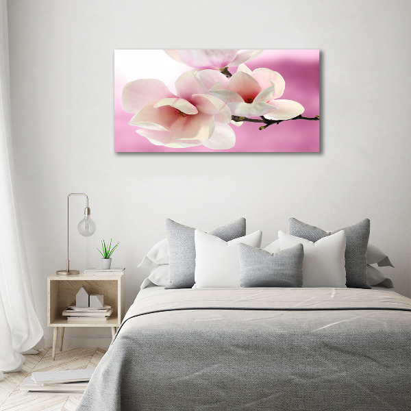 Fotobild Magnolie