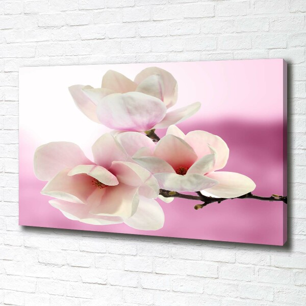 Fotobild Magnolie