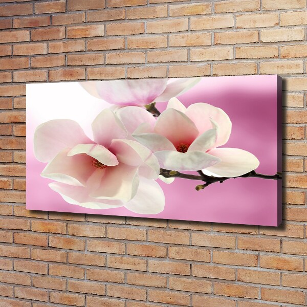 Fotobild Magnolie