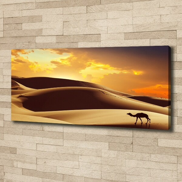 Wandbild Sahara-Kamel