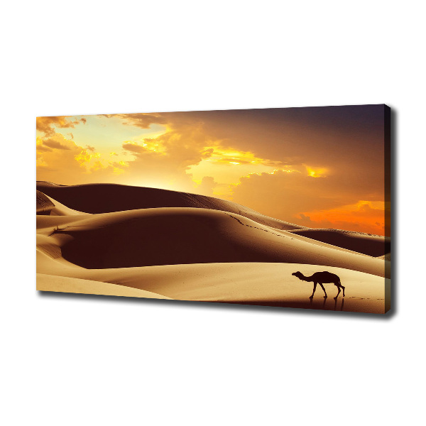 Wandbild Sahara-Kamel