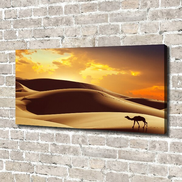 Wandbild Sahara-Kamel