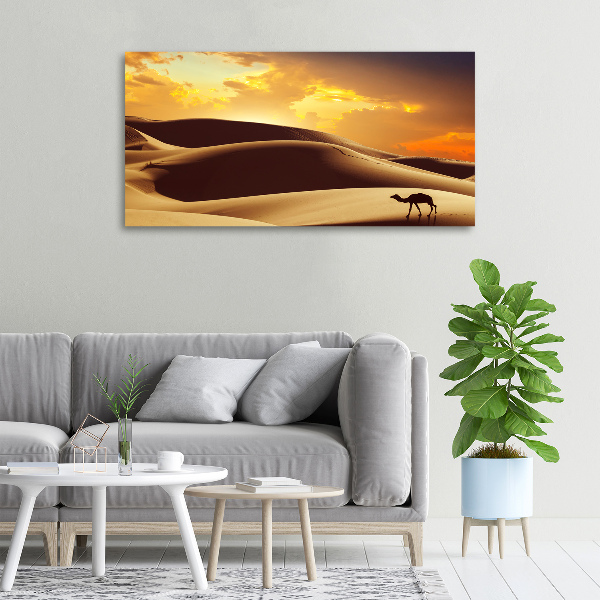 Wandbild Sahara-Kamel