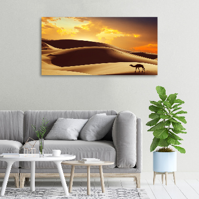 Wandbild Sahara-Kamel