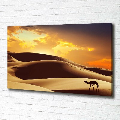Wandbild Sahara-Kamel