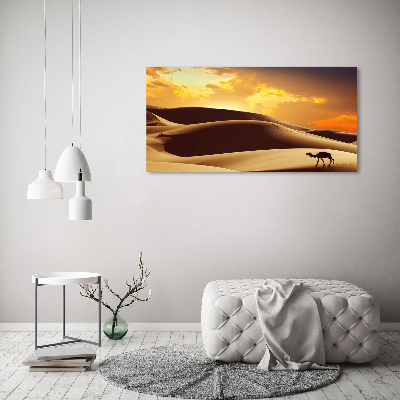 Wandbild Sahara-Kamel