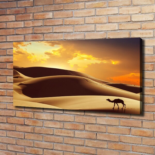 Wandbild Sahara-Kamel