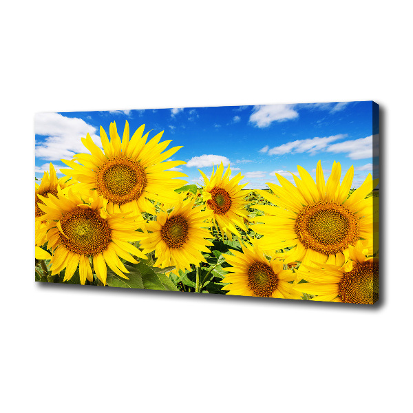 Wandbild Sonnenblumen