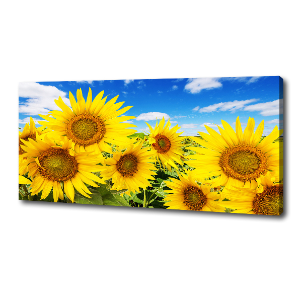Wandbild Sonnenblumen