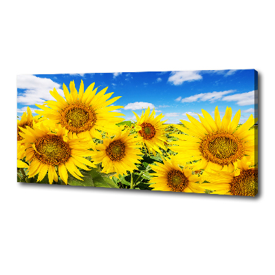Wandbild Sonnenblumen