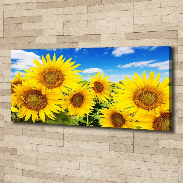 Wandbild Sonnenblumen