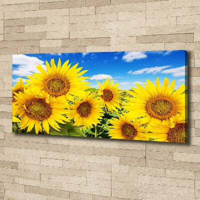 Wandbild Sonnenblumen