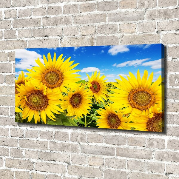 Wandbild Sonnenblumen