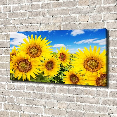 Wandbild Sonnenblumen
