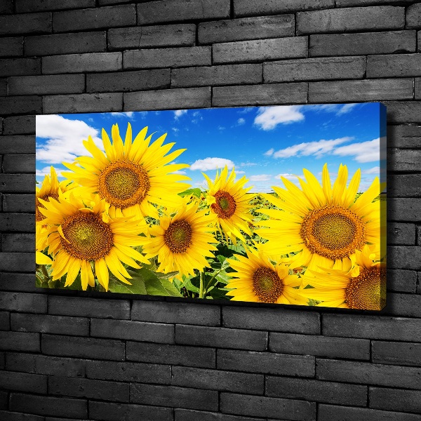 Wandbild Sonnenblumen