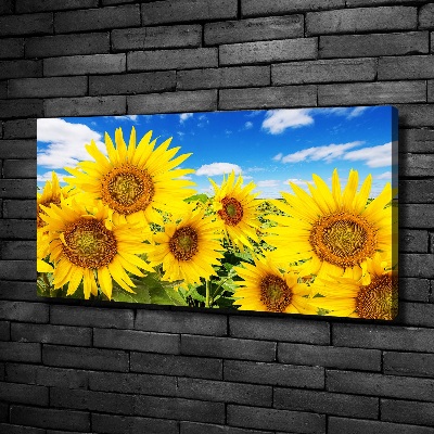 Wandbild Sonnenblumen