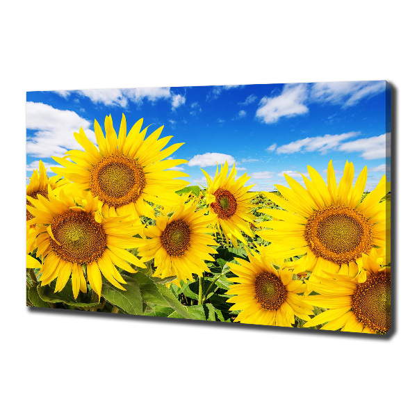 Wandbild Sonnenblumen