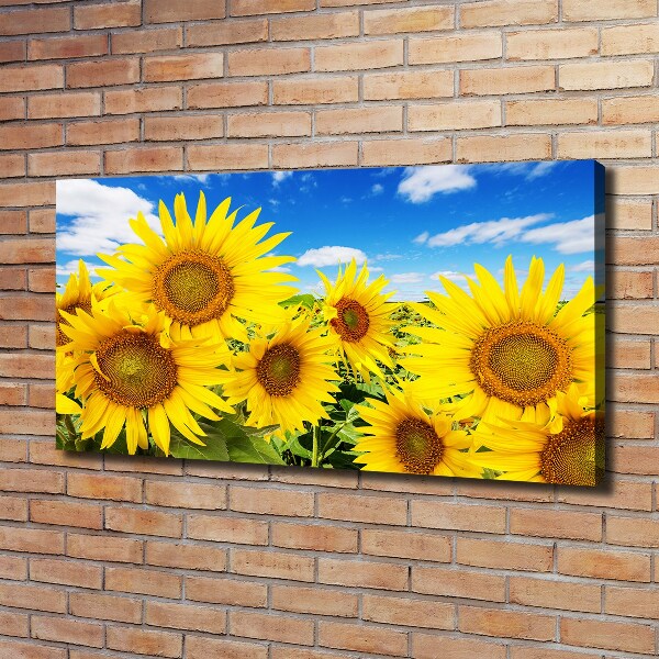 Wandbild Sonnenblumen