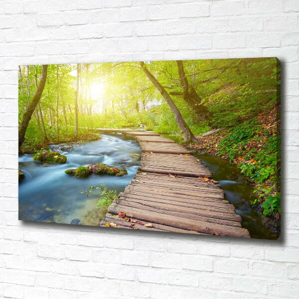 Bild auf leinwand Pfad im Wald