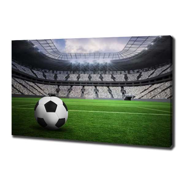 Wandbild Ball im Stadion