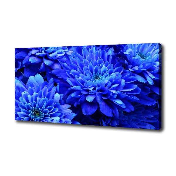 Bild auf leinwand Blaue Aster