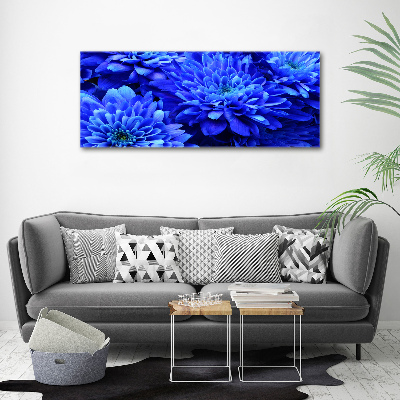 Bild auf leinwand Blaue Aster