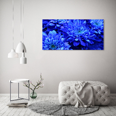 Bild auf leinwand Blaue Aster