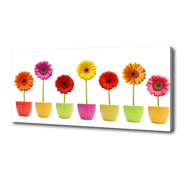 Wandbild Bunte Gerbera