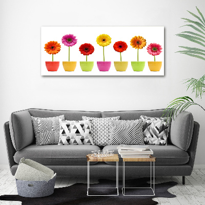 Wandbild Bunte Gerbera