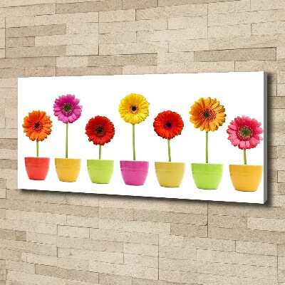 Wandbild Bunte Gerbera