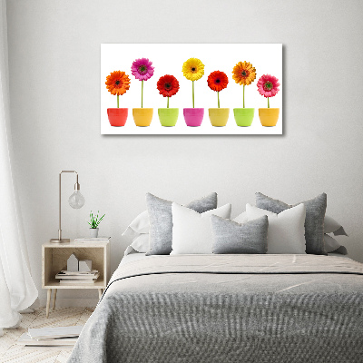 Wandbild Bunte Gerbera