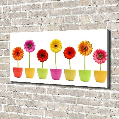 Wandbild Bunte Gerbera