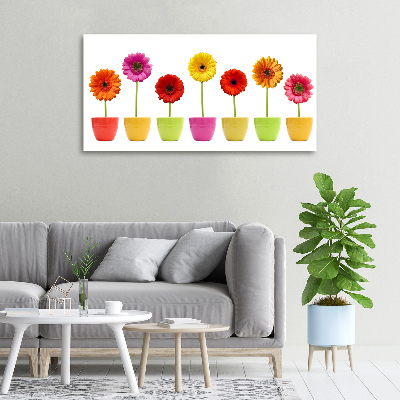 Wandbild Bunte Gerbera