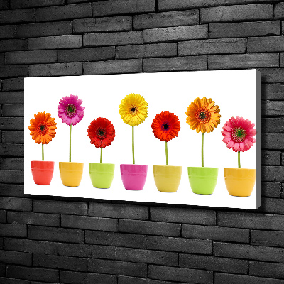 Wandbild Bunte Gerbera