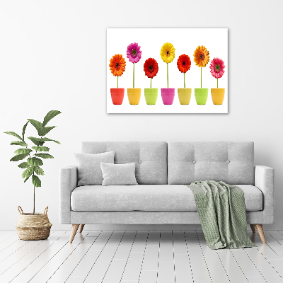 Wandbild Bunte Gerbera