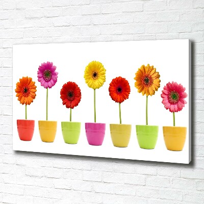 Wandbild Bunte Gerbera