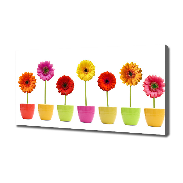 Wandbild Bunte Gerbera