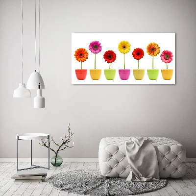 Wandbild Bunte Gerbera
