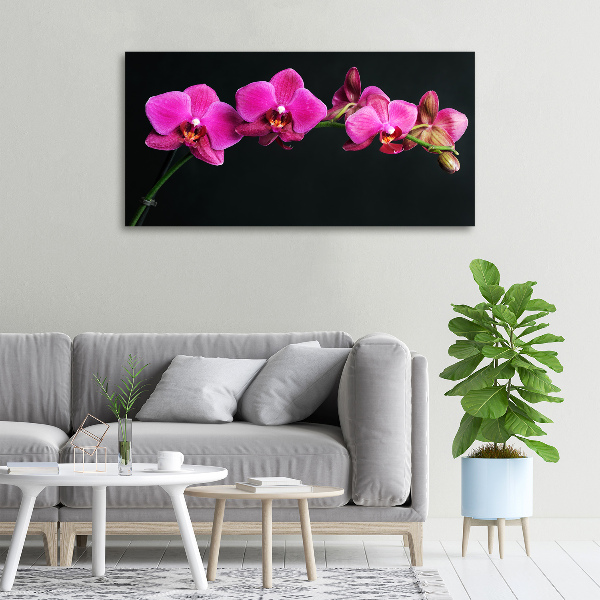 Bild auf leinwand Orchidee