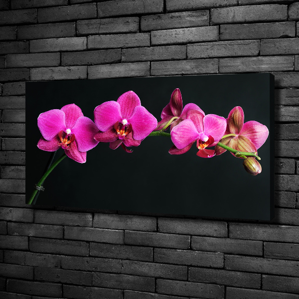 Bild auf leinwand Orchidee